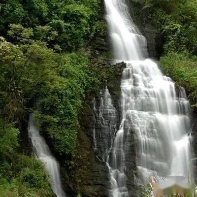 吃鸡模拟器