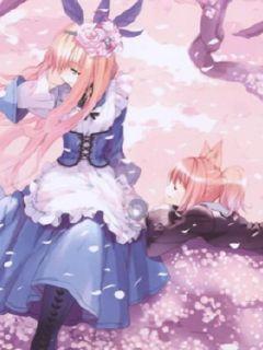 【社交新风尚】媛圈男生收入成女性青睐焦点，是否意味着交友风向转变？